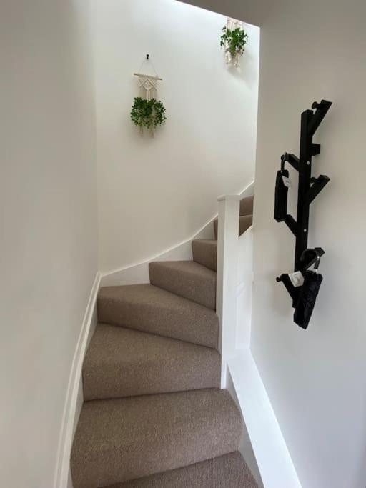 Modern Annex On The Outskirts Of Bath And Bristo Saltford エクステリア 写真